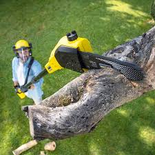 Best Lawn Watering Services  in East Meadow, NY