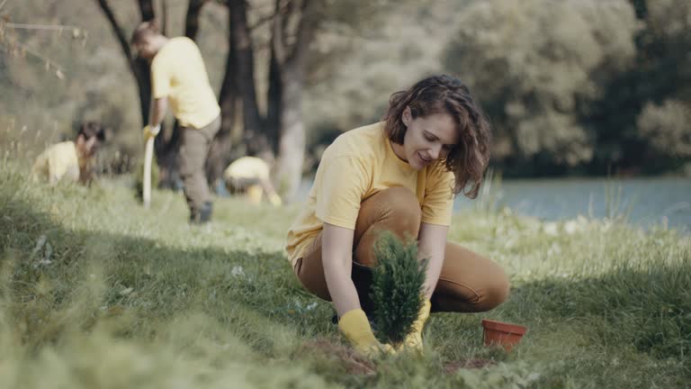 Best Soil Testing and Treatment  in East Meadow, NY