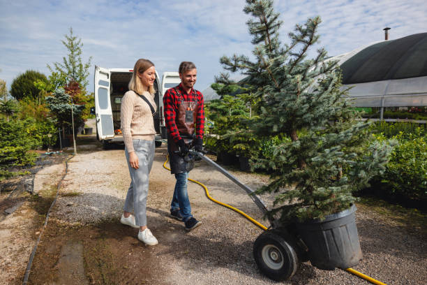 Lawn Maintenance Plans in East Meadow, NY